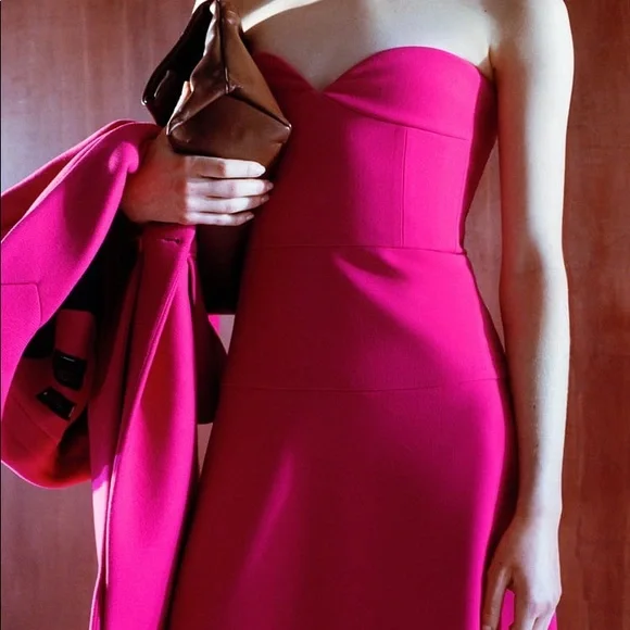 Zara Bustier Midi Dress - Picture 5 of 15